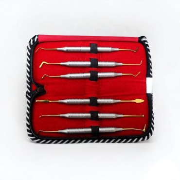 API Composite Instruments Gold TC Set Of 6 Pcs Dental Elevator Original
