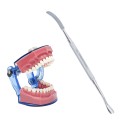 Bone File