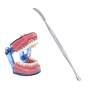 Bone File...