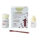 Glass Ionomer Luting Cement
